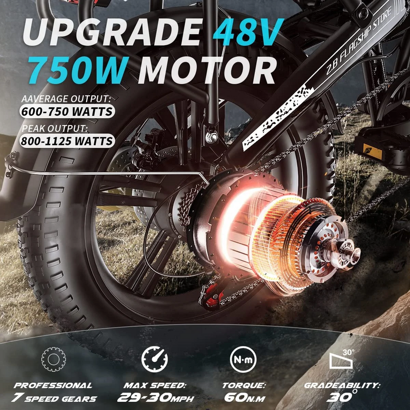 Electric Bike 750W Motor Fat Tire Ebike with Samsung 48V Battery-3