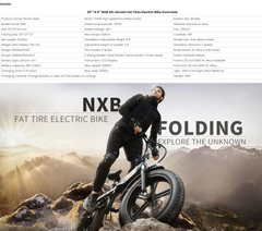 Electric Bike 750W Motor Fat Tire Ebike with Samsung 48V Battery-2