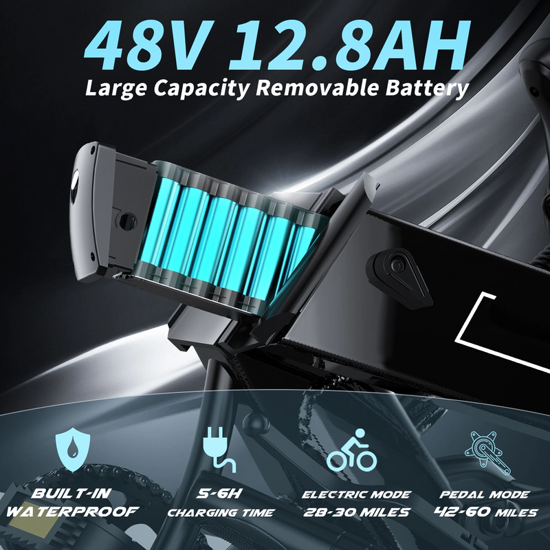 Electric Bike 750W Motor Fat Tire Ebike with Samsung 48V Battery-4