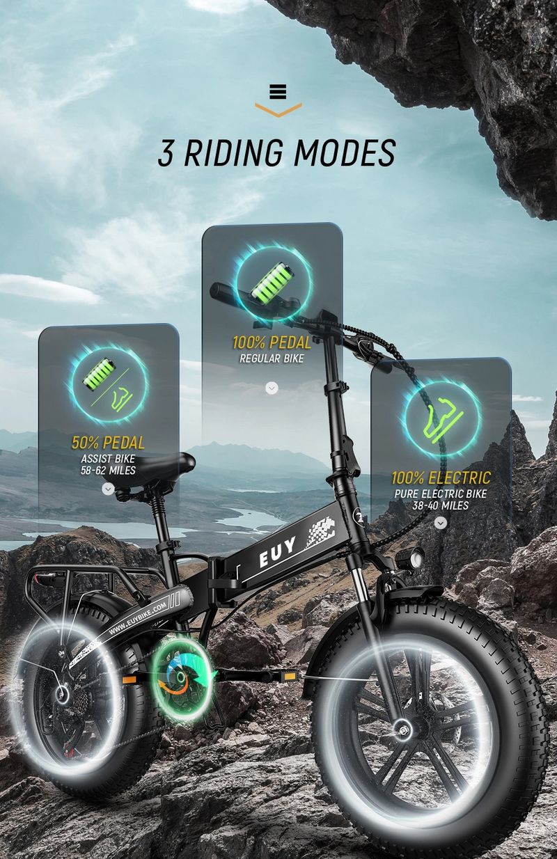 Electric Bike 750W Motor Fat Tire Ebike with Samsung 48V Battery-6